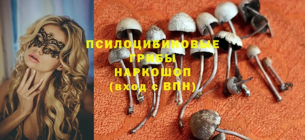 амф Аркадак