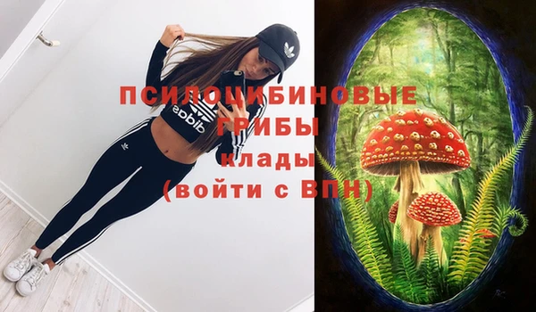 гидропоника Арсеньев