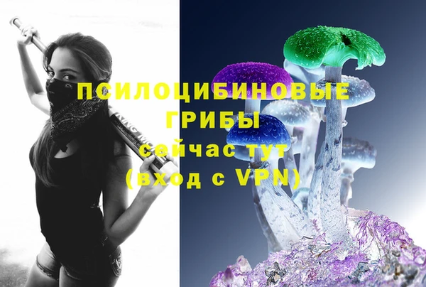 амф Аркадак