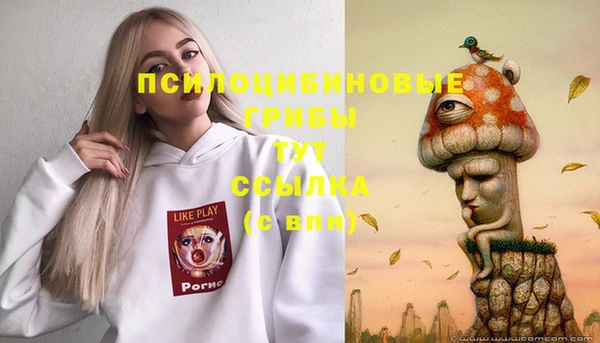 гидропоника Арсеньев