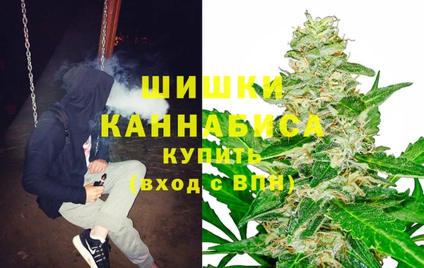 амф Аркадак